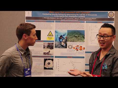 MASNA 2018-2019 Scholarship Runner up: J. Alexander Bonanno