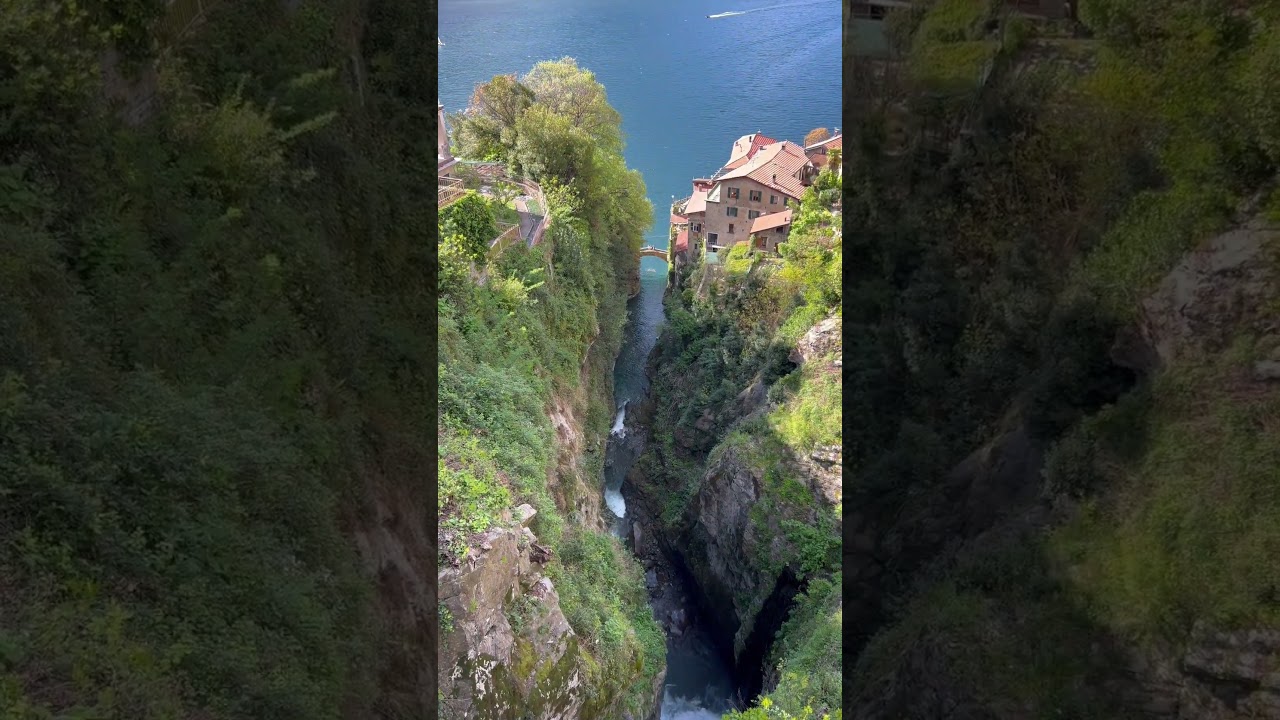 YouTube Short thumbnail