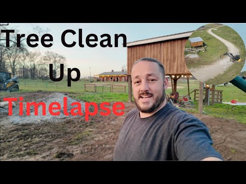 Tree Cleanup Timelapse: Complete Guide to Yard Maintenance