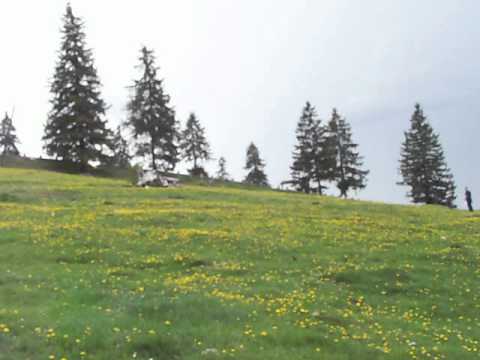 Panorama Culoarul Rucar-Bran