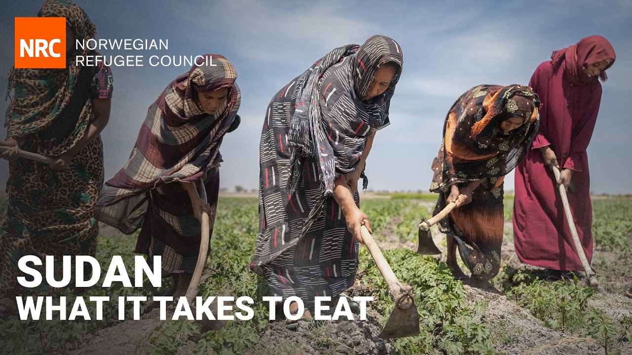 What Does It Take to Eat in Sudan?