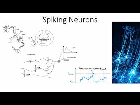 ICONS 2020 Keynote Presentation by Sander Bohte: Computing with Spiking Neurons