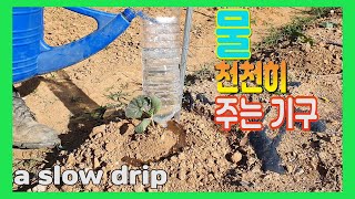 물 천천히 주는 기구.텃밭에 물주기.관수.물주는 방법.도구.