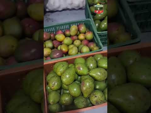 Apoyamos Las Asociaciones Campesinas