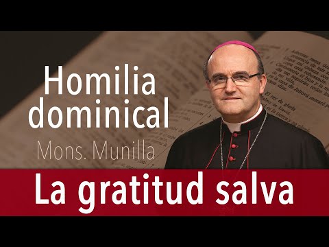 Homily 10/12/2025 / 28th Sunday in Ordinary Time