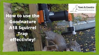 Goodnature A18 Squirrel Trap