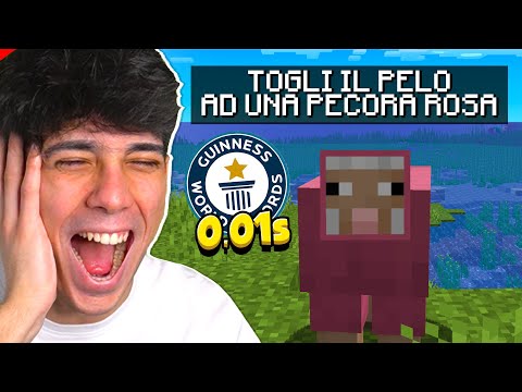 TUTTI I RECORD MONDIALI DI MINECRAFT *DIVERTENTISSIMI*
