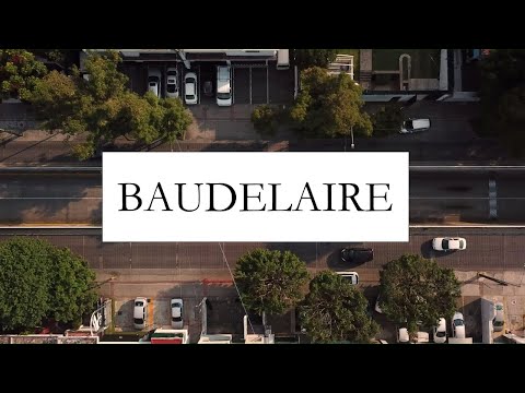 Charles Baudelaire - The Beauty and Horror of Modern Life