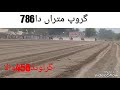 Ball Gadi Race 2018 786