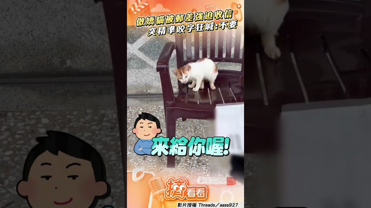 影音/傲嬌貓拒收信狂喊「不要」 被郵差煩吐精準咬字笑翻