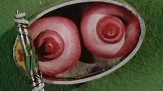 Trailer Thumbnail