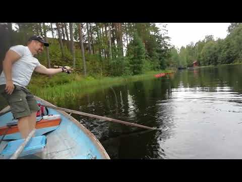 Kalaopas Finland - opastetut kalastusretket / hauen heittokalastus
