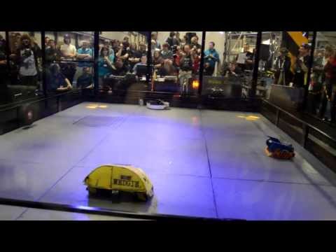 Annihilator Fight 4 - 2013 UK FW Championships