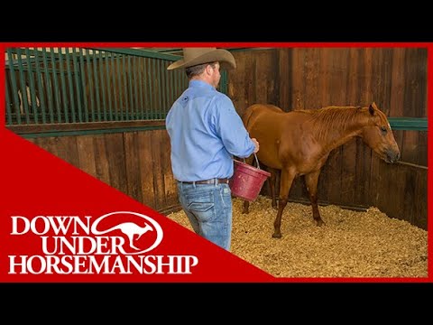 Clinton Anderson: What to do When Your Horse Paws at Feeding Time - Downunder Horsemanship
