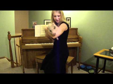 Hamlet the Mini Pig - As a Musical Instrument