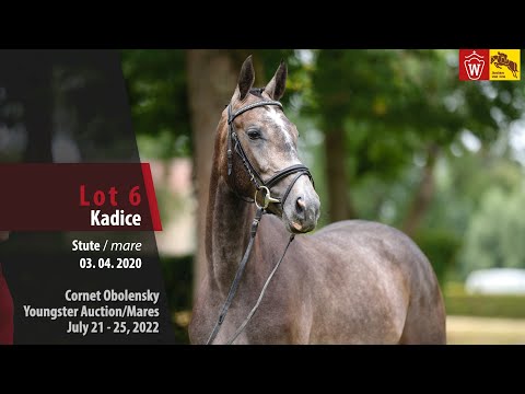 Cornet Obolensky Youngster Auction Lot 6 Kadice Stute v. Kannan - Cornet Obolensky