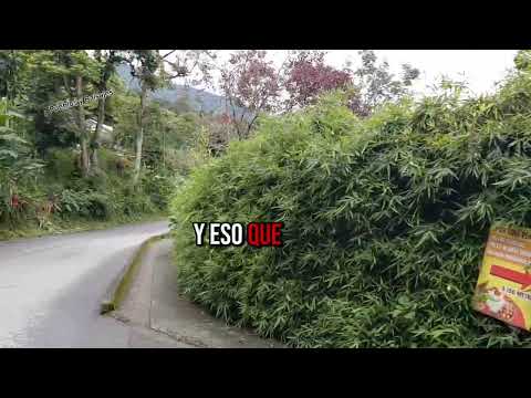 Hola mis amigos muy buenos días. Un paseo por Génova Quindío dónde la naturaleza y la cultura 🌳🌴🌿😊👍 