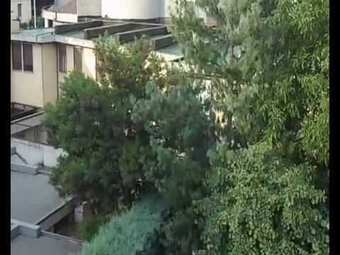 pioggia e sole-Prato