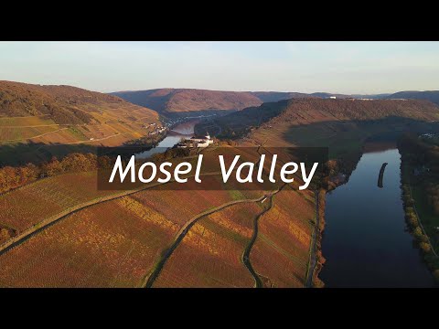 Mosel Valley from above
