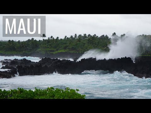 Maui Surf Trip & 1000 Subscribers! | Jason Klunk