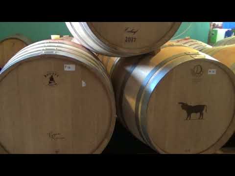 Im Weinkeller und Verkostung von Wein im Douro-Tal, Quinta de Tourais