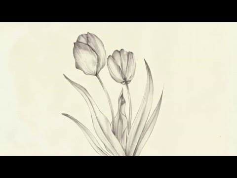 lontalius - selfless