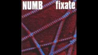NUMB-Fixate_LP_maxfalen