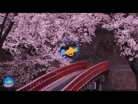 Siks x Adrien Toma - Get Funky