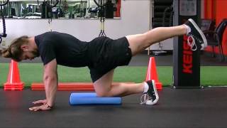 Quadruped Hip Extension - How to