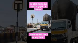 Download lagu Begini jika Gajah naik Mobil #fypシ #shorts #hewanlucu #shortvideo mp3
