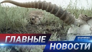 22.01.2021 21:00 Главные новости