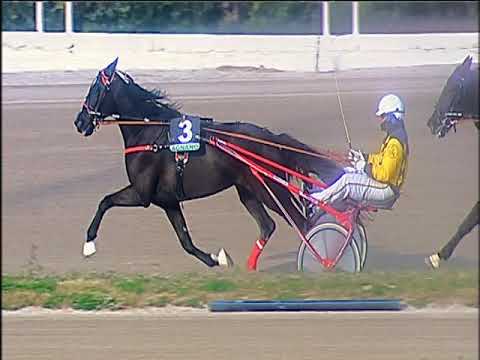 Trotto 07/01/2020 - 1ª corsa