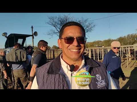 EZEQUIEL GESUALDI TOAY AGROACTIVA