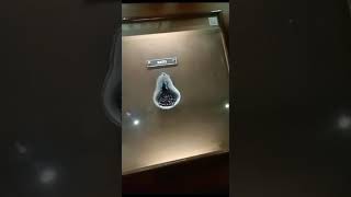 State Bank Museum vlog || university life ❤️