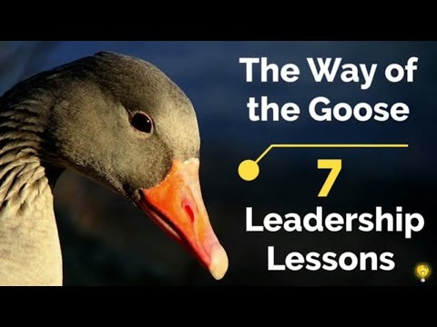 Wisdom of Geese | Motivational Video | Leadership Lessons