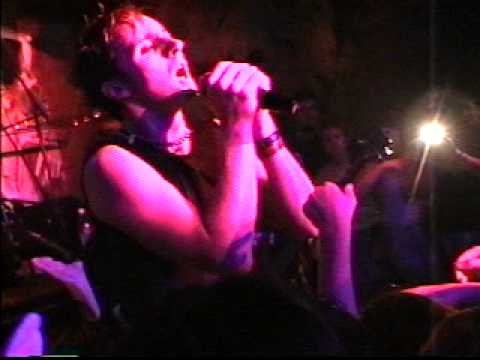 Darwins Waiting Room - Feel so stupid