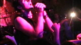 Darwins Waiting Room - Feel so stupid