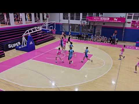 Luka Zelić highlights Mega