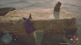 Merlin's trial jumping on a stone pier by the water on the coast