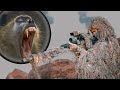 Baboon Battle: Ghillie Suit Sniper Takes On Overpopulating Baboons