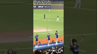 【Team Taiwan】#張政禹應援曲 #一粒 台灣捷克國際交流賽@台北大巨蛋 20241103 #台湾チア #cheerdance #cheerleading  #teamtaiwan