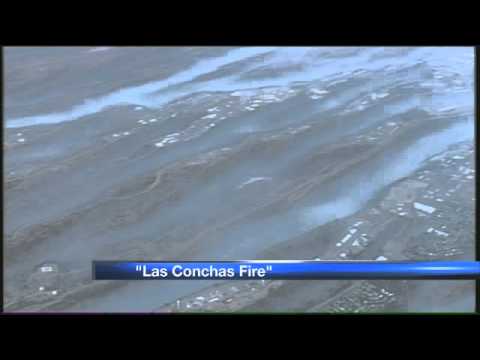 Midday News Webcast: June 30, 2011