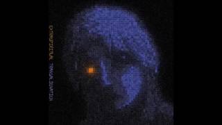 Charlie Carlo - Extraspiritual Transalienation