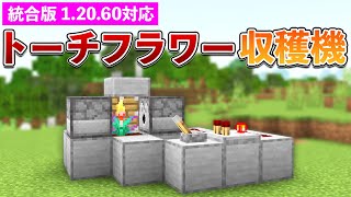 【統合版1.20.60】トーチフラワー収穫機の作り方【マイクラ / Minecraft】【PE/PS4/Switch/Xbox/Win10】