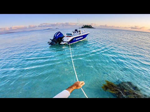 Waking Up In Paradise! (Solo Island Camping and Fishing part 2)