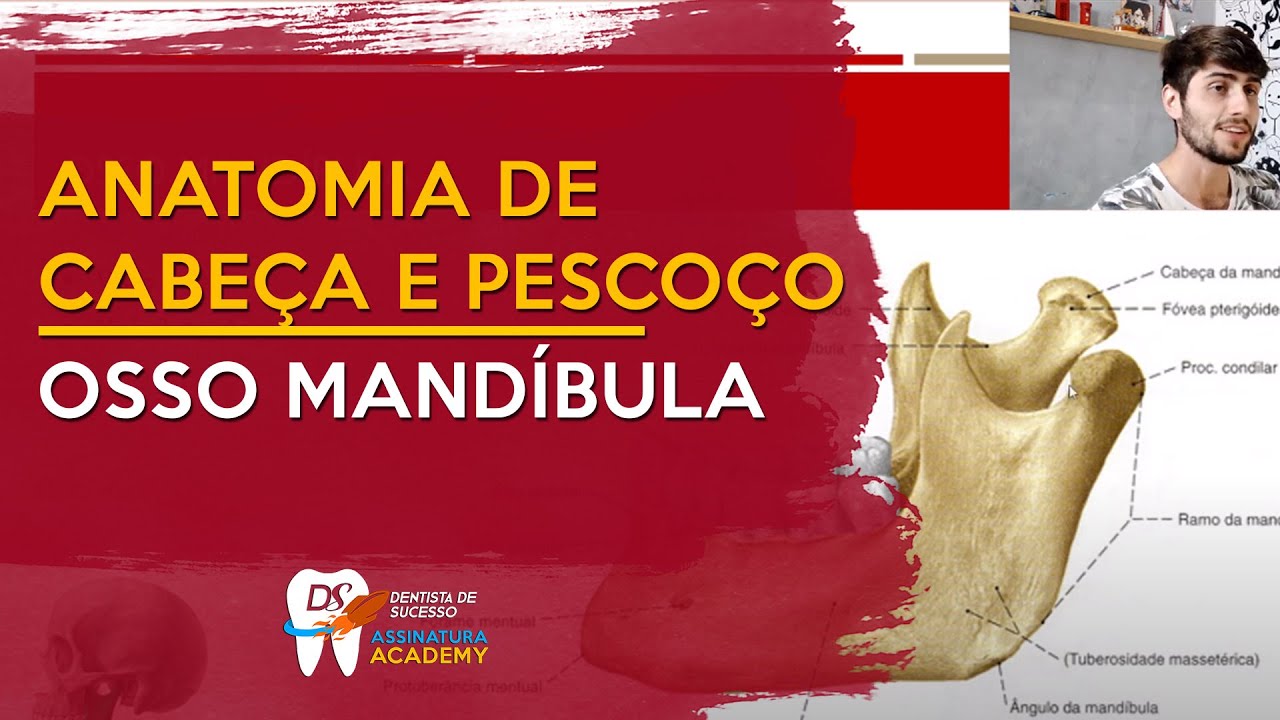 Osso Mandíbula | ANATOMIA DE CABEÇA E PESCOÇO