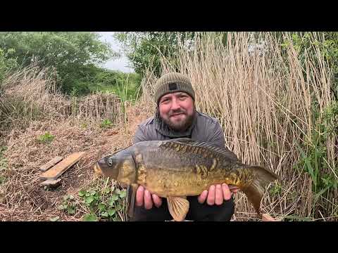 Syndicate diary’s Vlog #1 | broom pit |