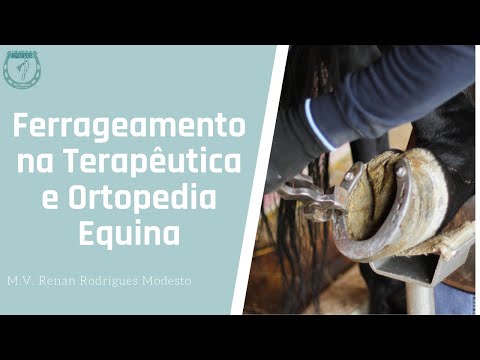 Ferrageamento na Terapêutica e Ortopedia Equina