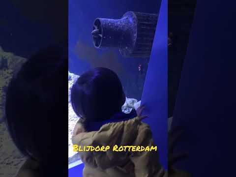 #blijdorp#blijmee#blijkiddos💋♥️🌞