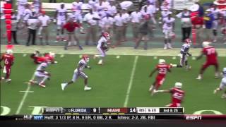 Florida Gators 2014 Football- In All Kinds Of Weather